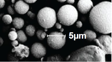 supapozz micrograph